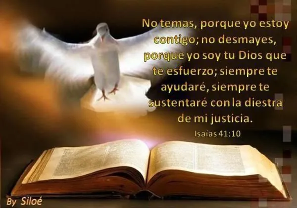 MENSAJES DE AMOR, PAZ y PENSAMIENTOS CRISTIANOS.: TESTIMONIO DE ...