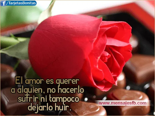 Mensajes de amor con rosa roja - Mensajes Bonitos de Amor para ...