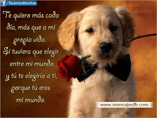 Mensajes bonitos de amor para facebook | Mensajes Bonitos de Amor ... Mensajes bonitos de amor para facebook | Mensajes Bonitos de Amor ...