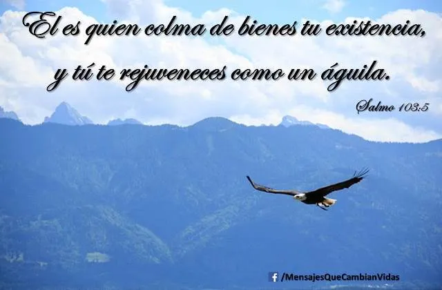 Mensajes Que Cambian Vidas | Mensajes Para Compartir Mensajes Que Cambian Vidas | Mensajes Para Compartir