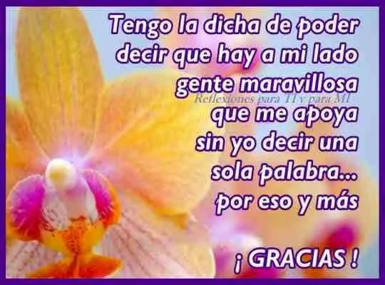 Mensajes cortos de agradecimiento | Frases de felicidad Mensajes cortos de agradecimiento | Frases de felicidad