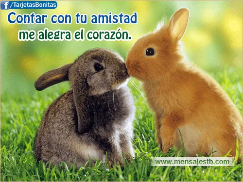 Mensajes cortos de amistad - Mensajes Bonitos de Amor para Facebook