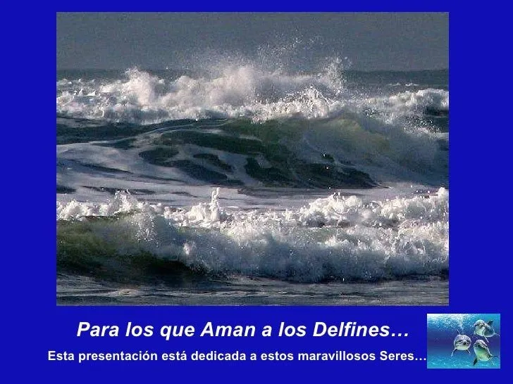 Mensajes de los delfines