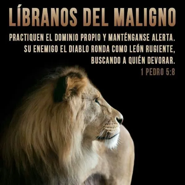 Mensajes de mi Dios on Pinterest | Dios, Frases and Ser Feliz Mensajes de mi Dios on Pinterest | Dios, Frases and Ser Feliz