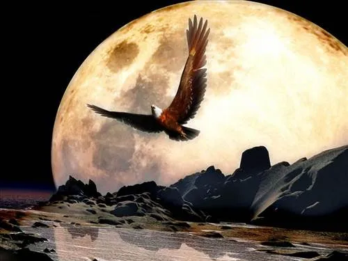 águila Fondos | Software, utilidades, temas para celulares, juegos ...