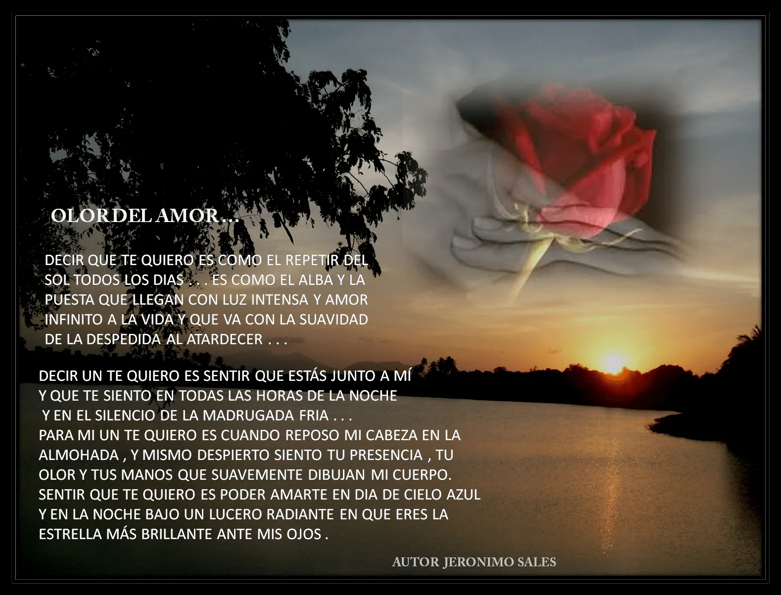 MENSAJES DE LUZ: 2010-