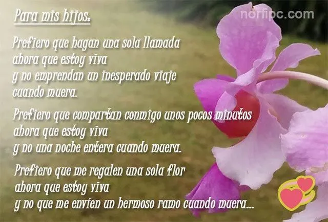 Mensajes de una madre para sus hijos en el Día de las Madres Mensajes de una madre para sus hijos en el Día de las Madres