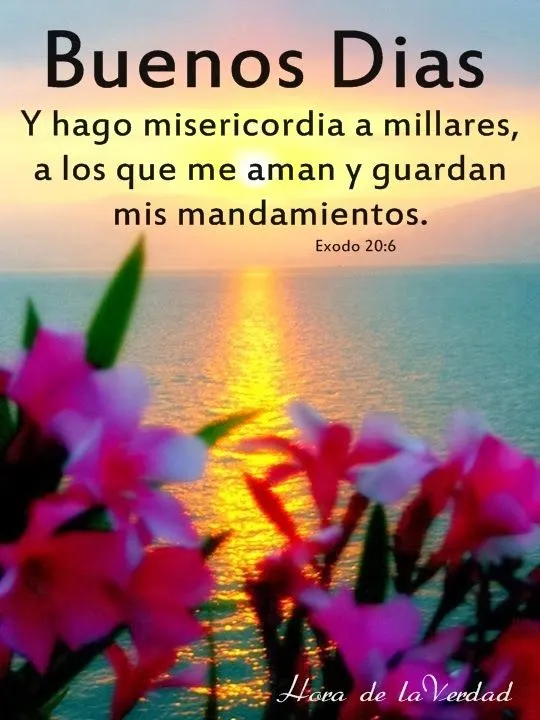 Mensajes y Palabras de Verdad: Buenos Dias. Imagenes con saludos ... Mensajes y Palabras de Verdad: Buenos Dias. Imagenes con saludos ...