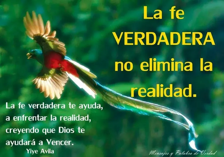 Mensajes para Reflexionar on Pinterest | Paisajes, Dios and Facebook Mensajes para Reflexionar on Pinterest | Paisajes, Dios and Facebook