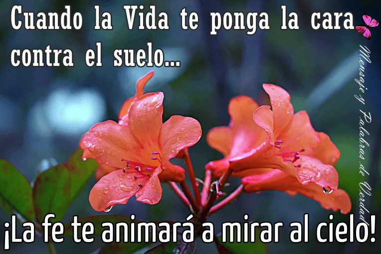 Mensajes y Palabras de Verdad: Mensajes y Palabras de Fe.
