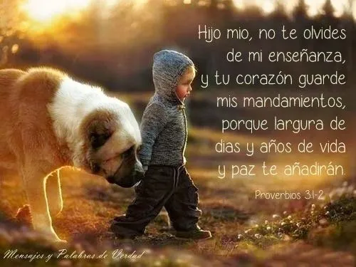 Mensajes y Palabras de Verdad: Proverbios Biblicos en bellas ...