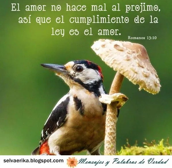 Mensajes y Palabras de Verdad: septiembre 2014