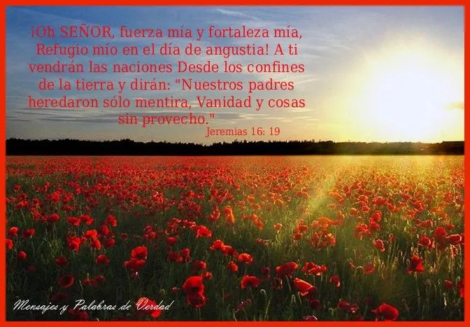Mensajes y Palabras de Verdad: Versiculos Bíblicos, para compartir Mensajes y Palabras de Verdad: Versiculos Bíblicos, para compartir