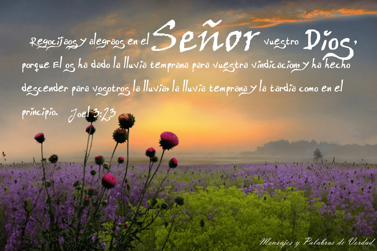 Mensajes y Palabras de Verdad: Versiculos biblicos en paisajes naturales Mensajes y Palabras de Verdad: Versiculos biblicos en paisajes naturales