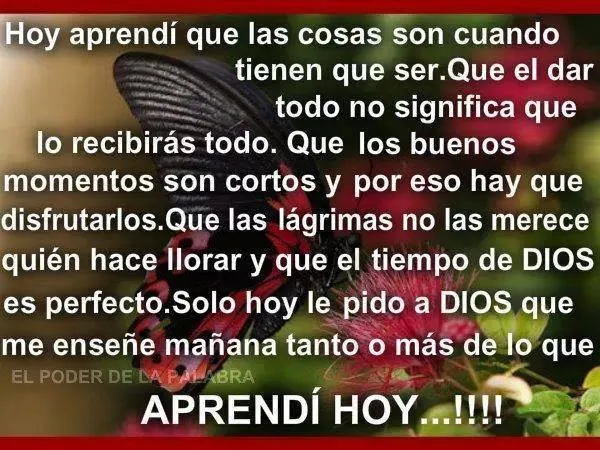 MENSAJES DE REFLEXION – MENSAJES POSITIVOS: APRENDI HOY… | Marcial ... MENSAJES DE REFLEXION – MENSAJES POSITIVOS: APRENDI HOY… | Marcial ...