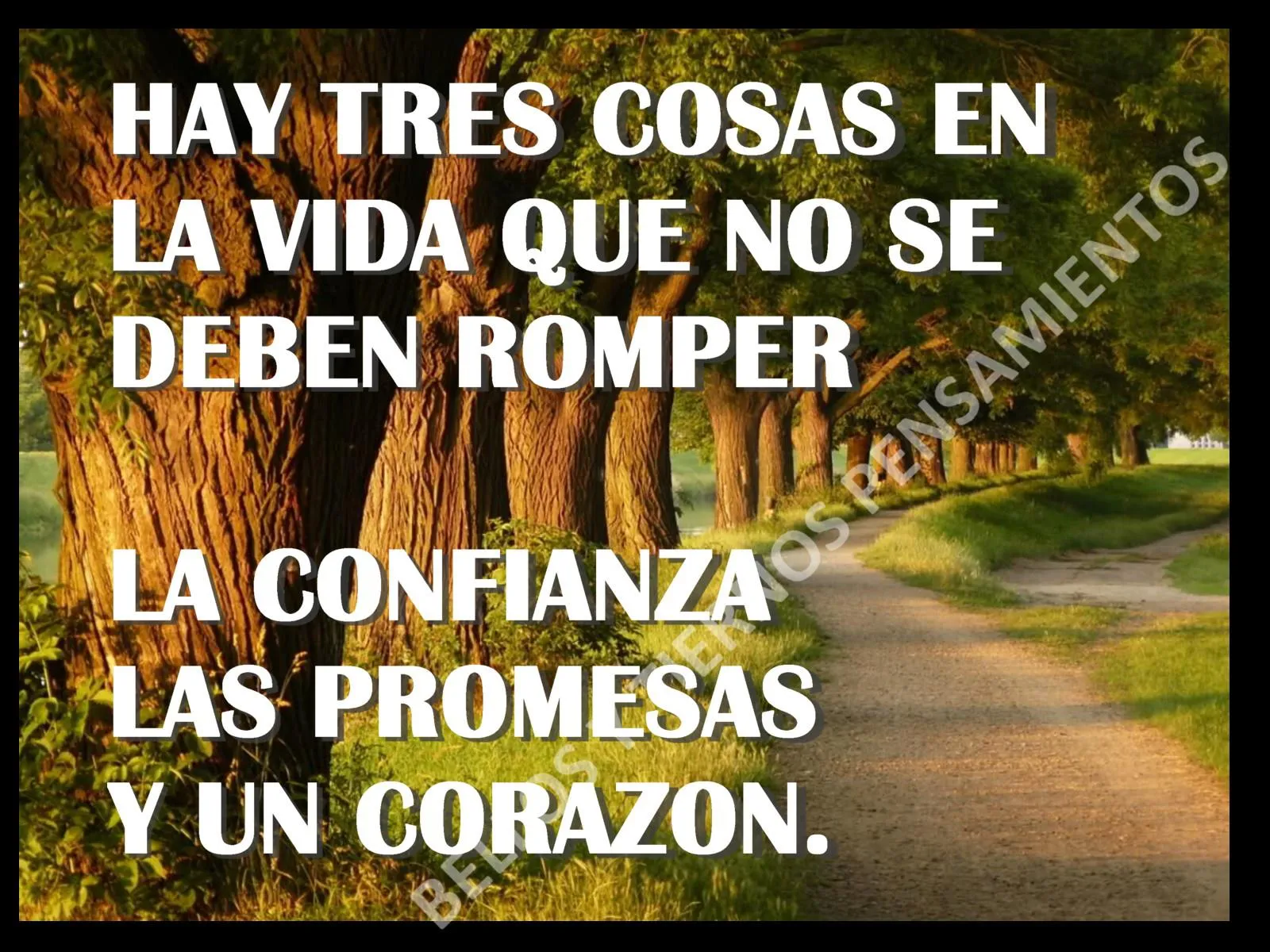 MENSAJES DE REFLEXION – MENSAJES POSITIVOS: TRES PILARES DE LA ... MENSAJES DE REFLEXION – MENSAJES POSITIVOS: TRES PILARES DE LA ...