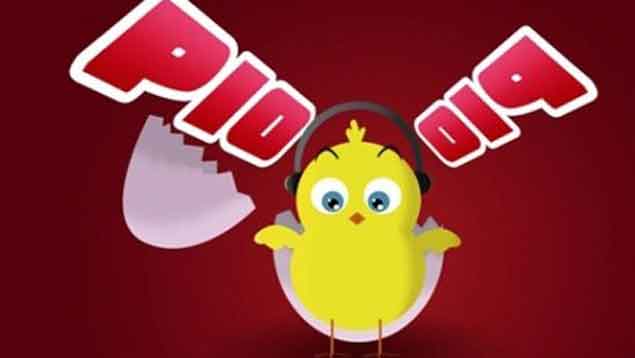 pollito-pio.jpg