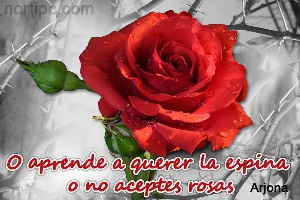 Mensajes de texto de amor para enviar en Facebook, Twitter o ... Mensajes de texto de amor para enviar en Facebook, Twitter o ...