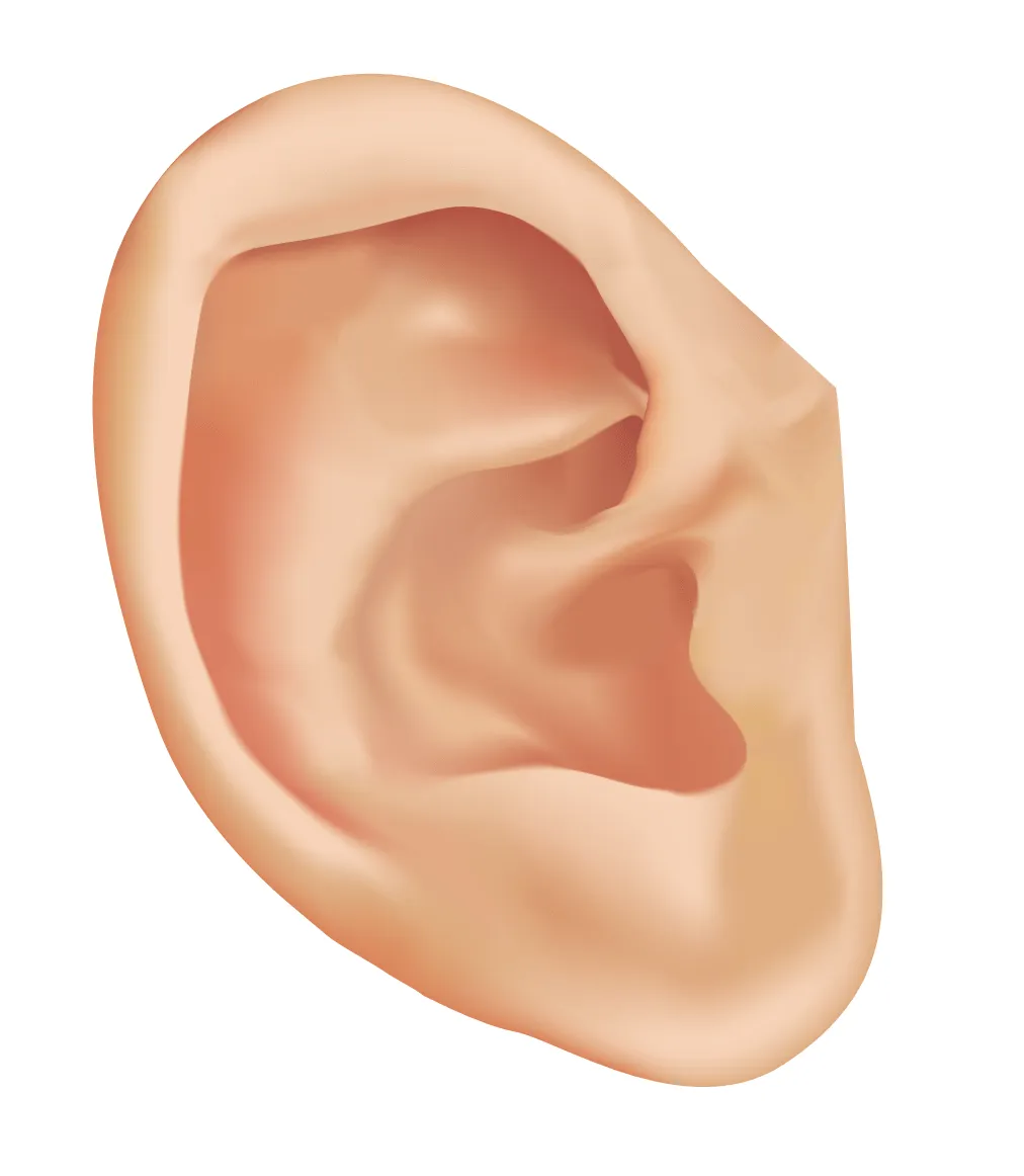 Menta Más Chocolate - RECURSOS y ACTIVIDADES PARA EDUCACIÓN ...