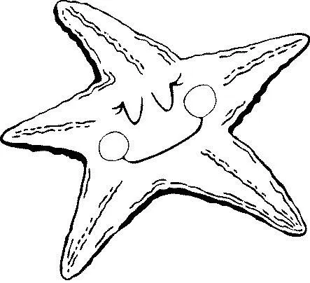 Menta Más Chocolate - RECURSOS PARA EDUCACIÓN INFANTIL: Dibujos ... Menta Más Chocolate - RECURSOS PARA EDUCACIÓN INFANTIL: Dibujos ...