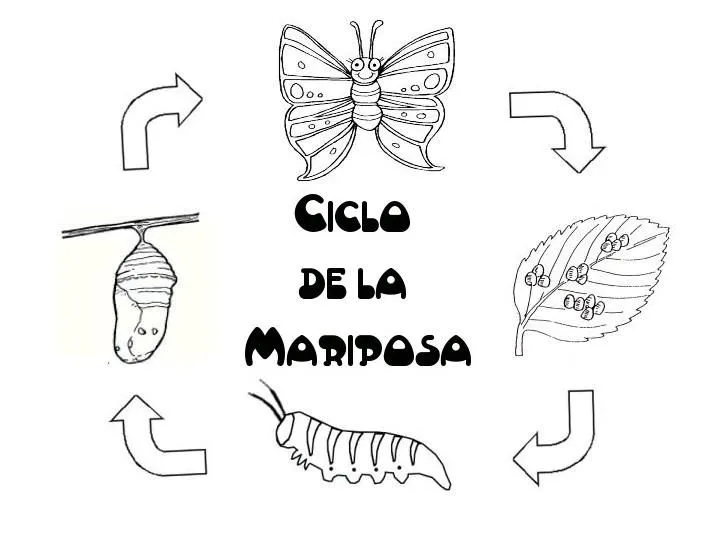 Menta Más Chocolate - RECURSOS PARA EDUCACIÓN INFANTIL: Ciclo de ...