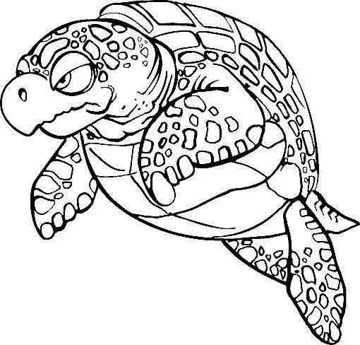 Menta Más Chocolate - RECURSOS PARA EDUCACIÓN INFANTIL: Dibujos ... Menta Más Chocolate - RECURSOS PARA EDUCACIÓN INFANTIL: Dibujos ...