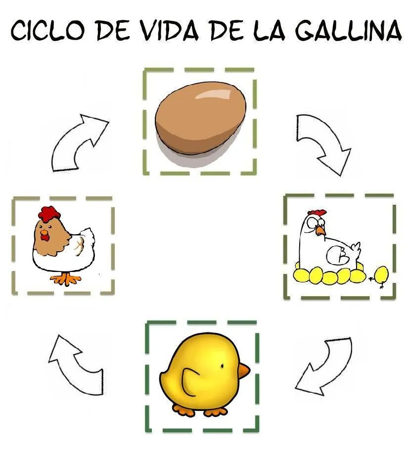 Menta Más Chocolate - RECURSOS PARA EDUCACIÓN INFANTIL: CICLO DE ... Menta Más Chocolate - RECURSOS PARA EDUCACIÓN INFANTIL: CICLO DE ...
