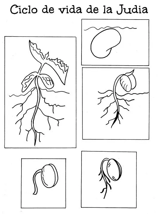 Menta Más Chocolate - RECURSOS PARA EDUCACIÓN INFANTIL: CICLO DE ... Menta Más Chocolate - RECURSOS PARA EDUCACIÓN INFANTIL: CICLO DE ...