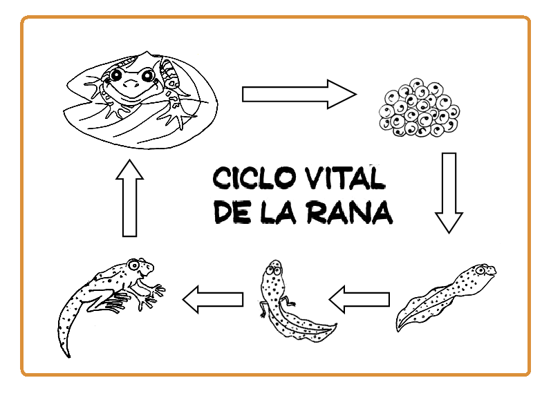 Menta Más Chocolate - RECURSOS PARA EDUCACIÓN INFANTIL: CICLO DE ...