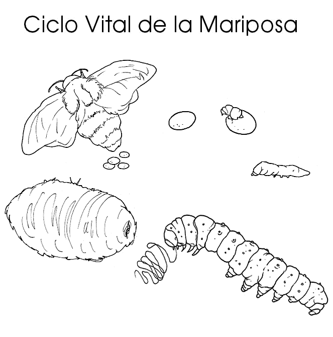 Menta Más Chocolate - RECURSOS PARA EDUCACIÓN INFANTIL: Ciclo de ... Menta Más Chocolate - RECURSOS PARA EDUCACIÓN INFANTIL: Ciclo de ...