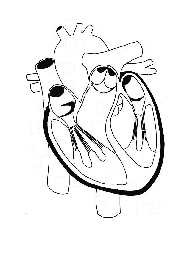 Menta Más Chocolate - RECURSOS PARA EDUCACIÓN INFANTIL: Imágenes ...