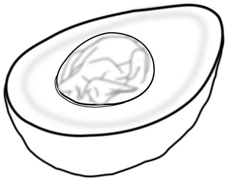 Menta Más Chocolate - RECURSOS PARA EDUCACIÓN INFANTIL: Dibujos e ... Menta Más Chocolate - RECURSOS PARA EDUCACIÓN INFANTIL: Dibujos e ...