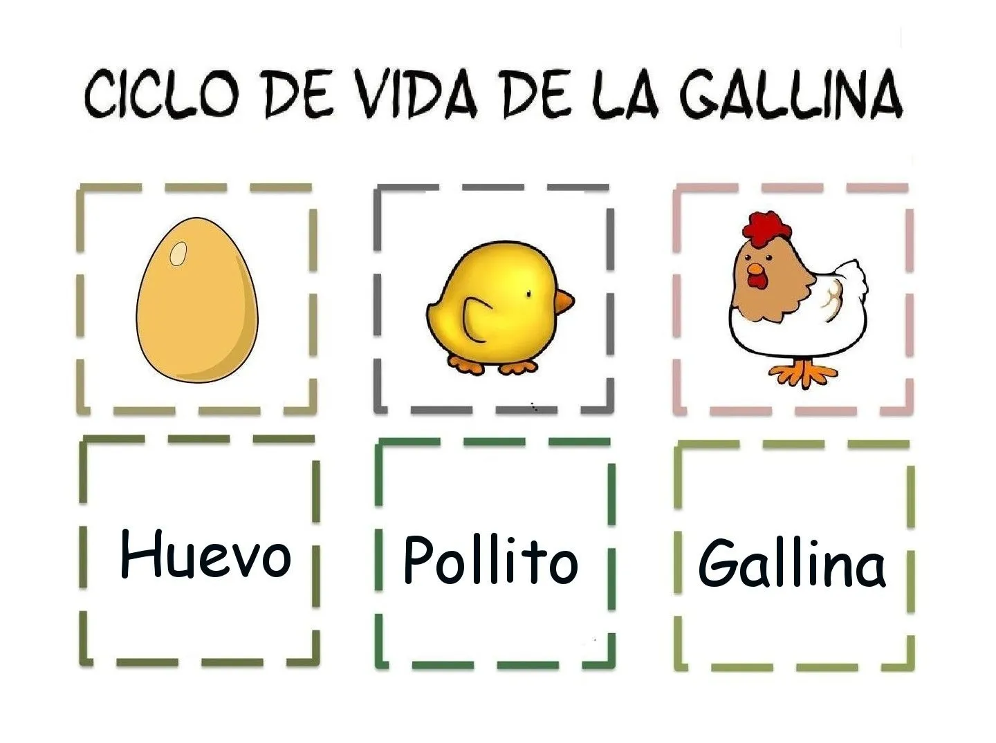 Menta Más Chocolate - RECURSOS PARA EDUCACIÓN INFANTIL: CICLO DE ... Menta Más Chocolate - RECURSOS PARA EDUCACIÓN INFANTIL: CICLO DE ...