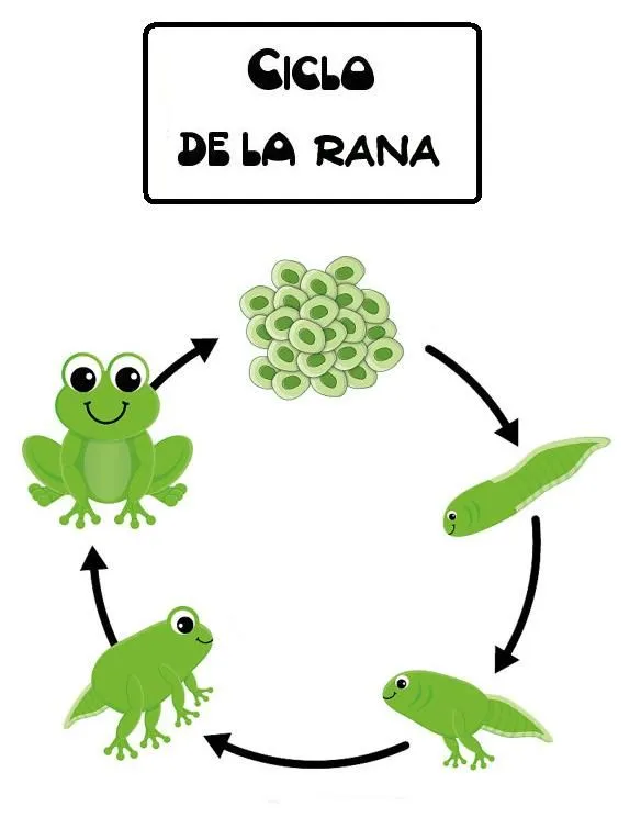 Menta Más Chocolate - RECURSOS PARA EDUCACIÓN INFANTIL: CICLO DE ... Menta Más Chocolate - RECURSOS PARA EDUCACIÓN INFANTIL: CICLO DE ...