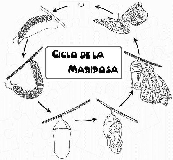 Menta Más Chocolate - RECURSOS PARA EDUCACIÓN INFANTIL: Ciclo de ... Menta Más Chocolate - RECURSOS PARA EDUCACIÓN INFANTIL: Ciclo de ...