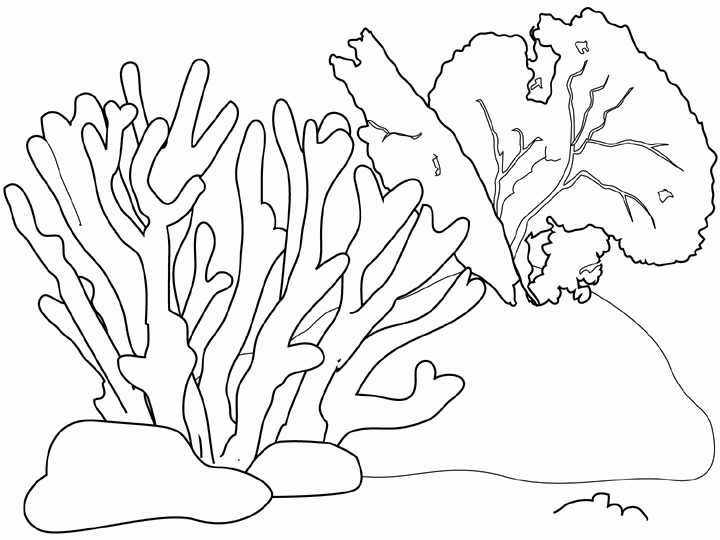 Menta Más Chocolate - RECURSOS PARA EDUCACIÓN INFANTIL: Dibujos ... Menta Más Chocolate - RECURSOS PARA EDUCACIÓN INFANTIL: Dibujos ...