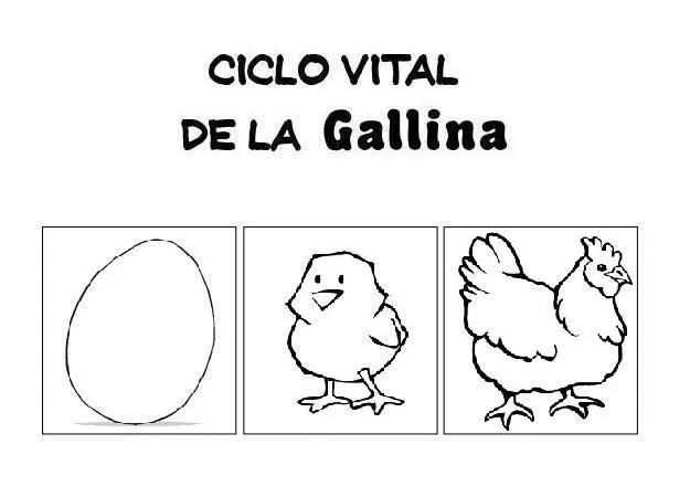 Menta Más Chocolate - RECURSOS PARA EDUCACIÓN INFANTIL: CICLO DE ... Menta Más Chocolate - RECURSOS PARA EDUCACIÓN INFANTIL: CICLO DE ...