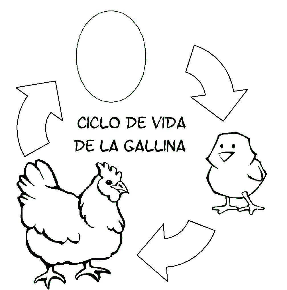 Menta Más Chocolate - RECURSOS PARA EDUCACIÓN INFANTIL: CICLO DE ... Menta Más Chocolate - RECURSOS PARA EDUCACIÓN INFANTIL: CICLO DE ...