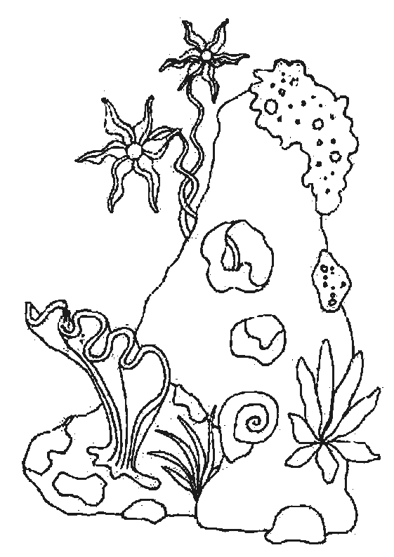 Menta Más Chocolate - RECURSOS PARA EDUCACIÓN INFANTIL: Dibujos ... Menta Más Chocolate - RECURSOS PARA EDUCACIÓN INFANTIL: Dibujos ...