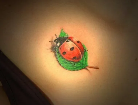 MERAVIGLIOSI TATUAGGI COCCINELLE - I PIU' BELLI E IL LORO SIGNIFICATO MERAVIGLIOSI TATUAGGI COCCINELLE - I PIU' BELLI E IL LORO SIGNIFICATO