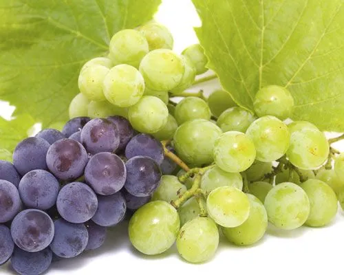 En el mercado: ¿cómo elegir las mejores uvas? En el mercado: ¿cómo elegir las mejores uvas?