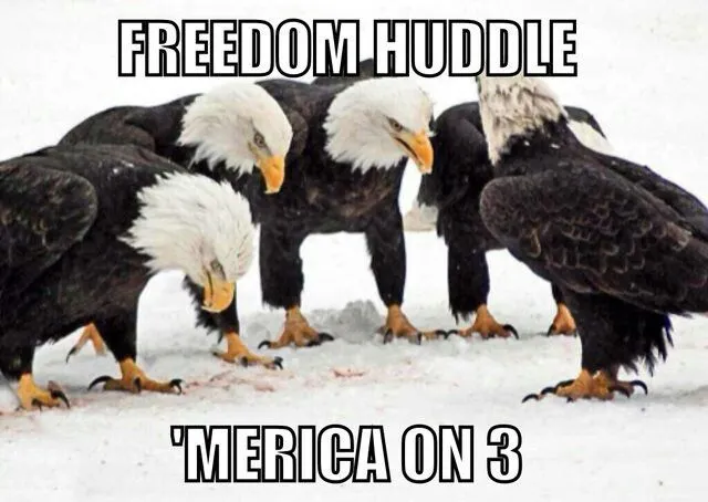 Merica! on Pinterest | America, Elmer Fudd and Baby Swings Merica! on Pinterest | America, Elmer Fudd and Baby Swings