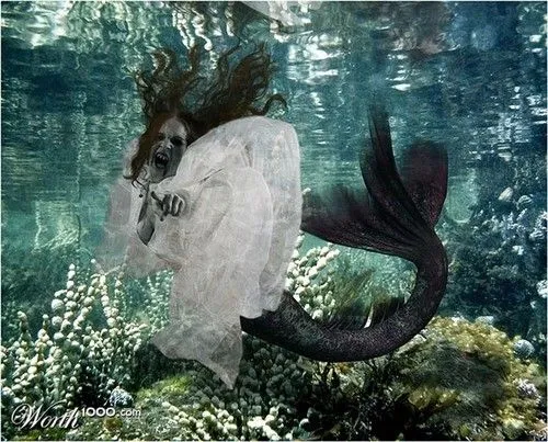 MERMAIDS - curiosities and something else
