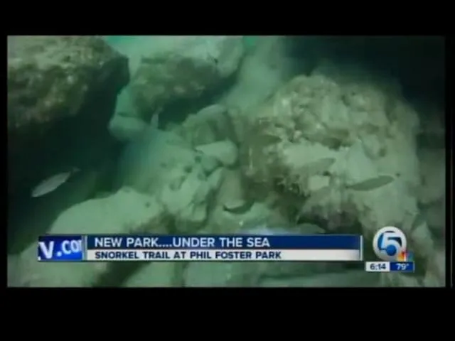 Mermaids Sighting 2013 images Mermaids Sighting 2013 images