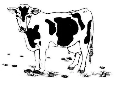 todo o mês para você!!! E agora fique com esse belo Desenho de Vaca ...