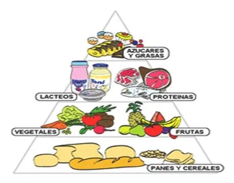 Metabolismo. Trabajo de investigacion. Experiencia Educativa ... Metabolismo. Trabajo de investigacion. Experiencia Educativa ...
