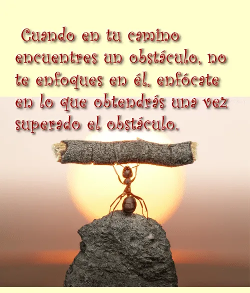 Metáfora de éxito: La Hormiga | Superacion y Motivacion