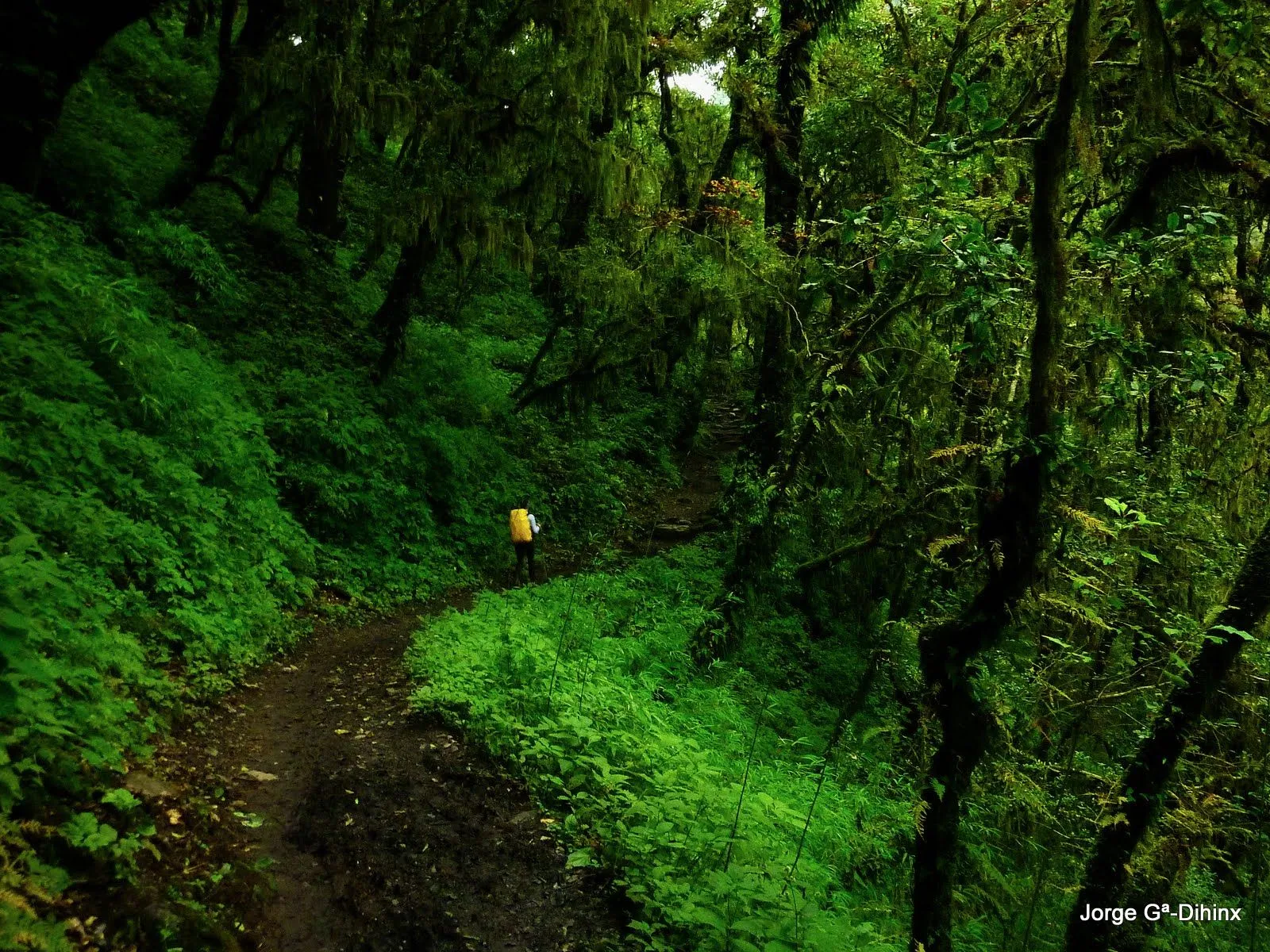 La Meteo que viene: octubre 2011