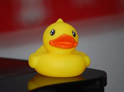 El método de depuración del Pato de Goma (the Rubber Duck method ...