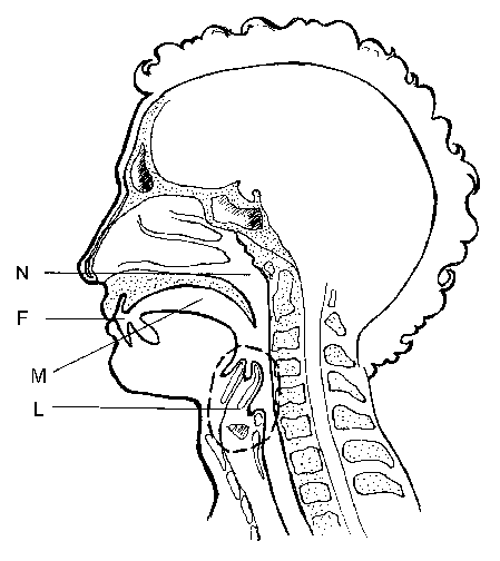 METODO SILVA DE AUTOCONTROL MENTAL :: Magia y Poder Mental ...